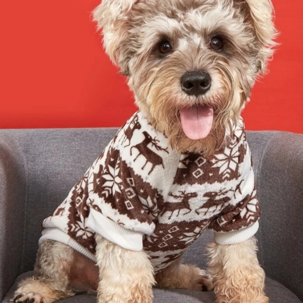 SALE! NWT brown and white dog and/or cat sweater! ONLY 1 LEFT!!! SIZE XSMALL!